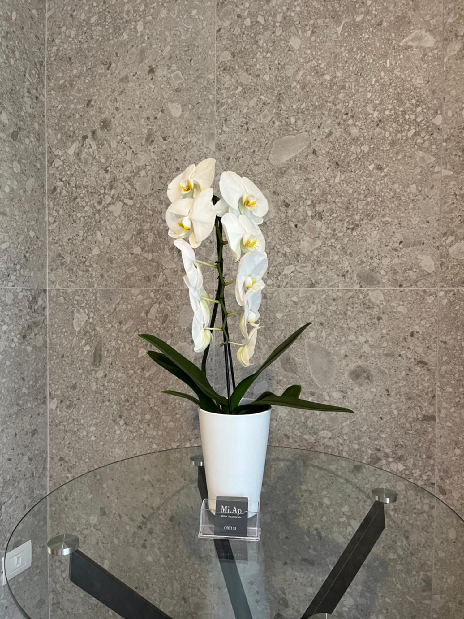 Miap Orti 31 Apartment Milano Exterior foto